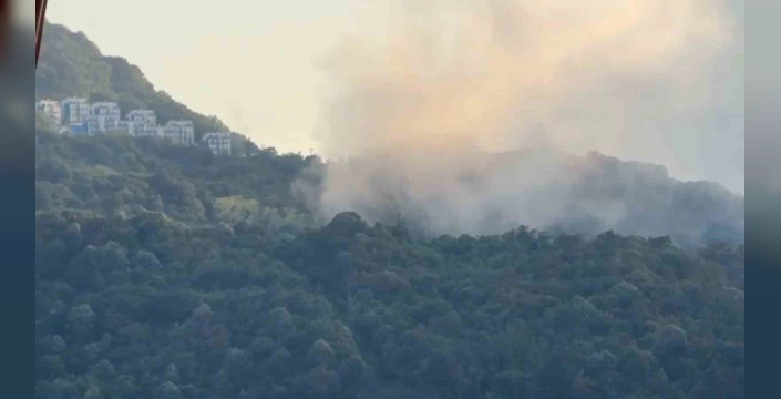 Amasra'da sis paniği: Askeri helikopterler inişte zorlandı