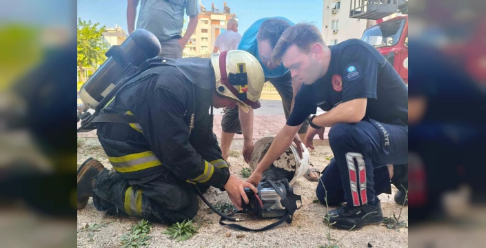 Antalya'da yangın: Ev sahibi baygınlık geçirdi, kediye oksijen maskesi takıldı