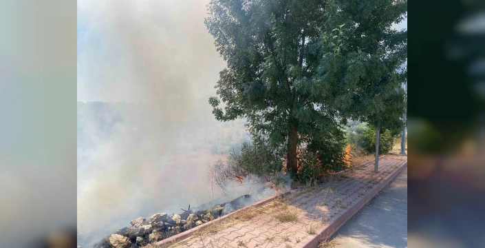Beyşehir'de otluk alanda yangın çıktı