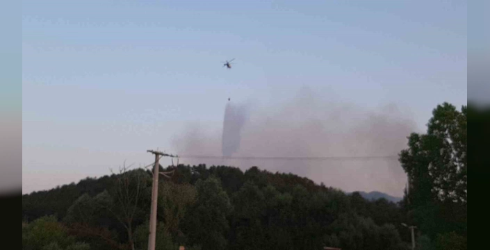 Bolu Mudurnu'nda orman yangını kontrol altına alındı