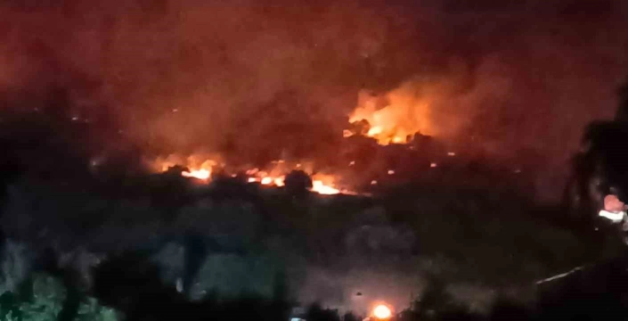 Dikili'de yangın: İzmir-Çanakkale yolu trafiğe kapandı