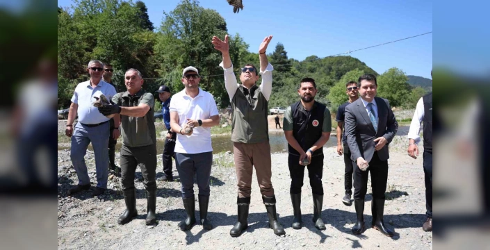 Düzce'de 20 bin alabalık yavrusu ve 5 kukumav kuşu doğaya salındı