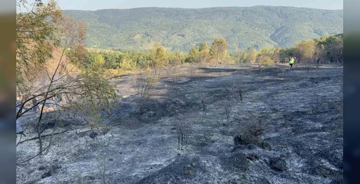 Düzce-Sakarya sınırında yangın: 50 hektarlık alan zarar gördü