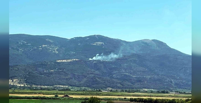 Geyve'de söndürülen yangın yeniden çıktı