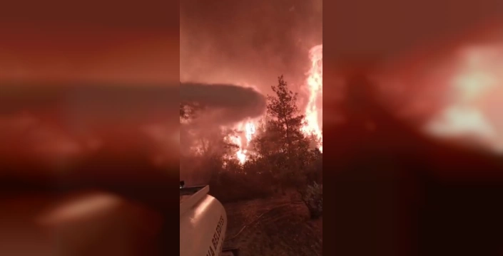 Geyve'deki orman yangını: Dehşet verici görüntüler ortaya çıktı