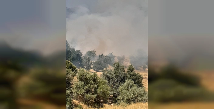 Hozat'ta çıkan yangın büyük ölçüde söndürüldü