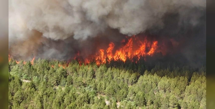 Karabük'ün Safranbolu ilçesinde orman yangını: Çavuşlar köyü tahliye edildi