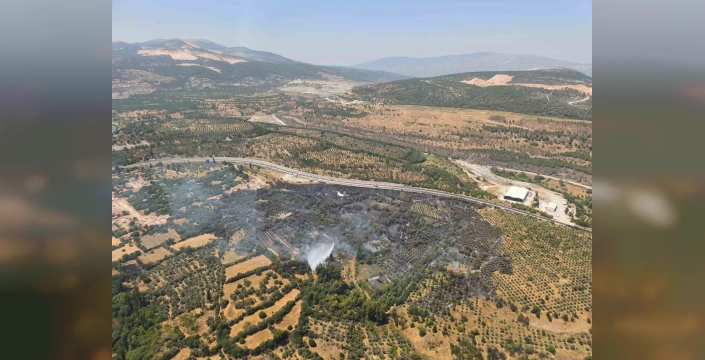Muğla'da Stratonikia Antik Kenti yakınlarındaki yangın kontrol altına alındı