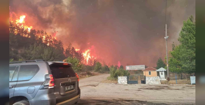 Safranbolu'da orman yangını: Çavuşlar köyü tahliye edildi