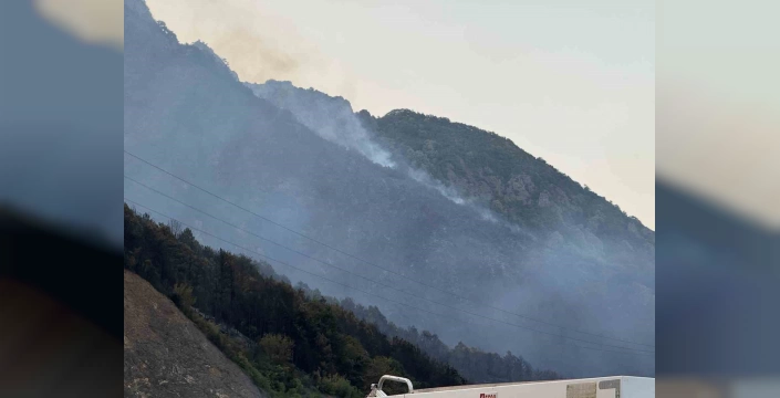 Sakarya'da orman yangını kısmen kontrol altına alındı
