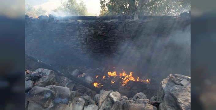 Serik'te orman yangını: 3 ev ve 4 ahır kül oldu