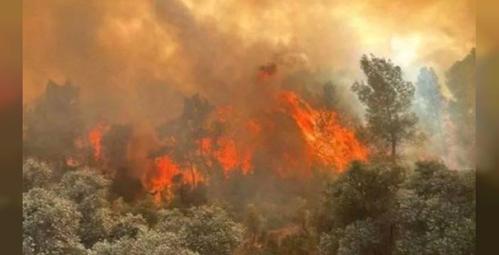 Seyitgazi'de orman yangını faciası: 11 orman işçisi şehit oldu