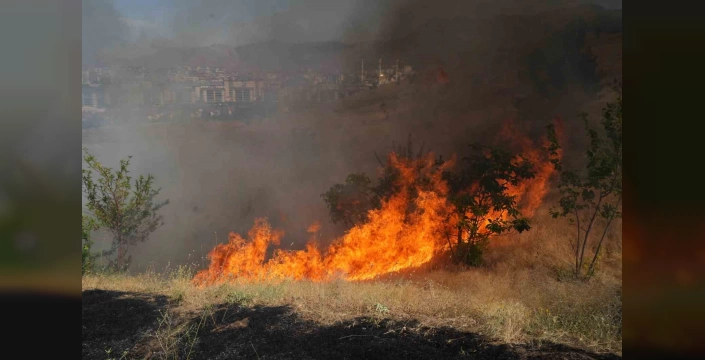 Afad-Sen Başkanı Çelik: Orman yangınlarında asıl büyük yangın, bilgi ve bilinç eksikliğidir