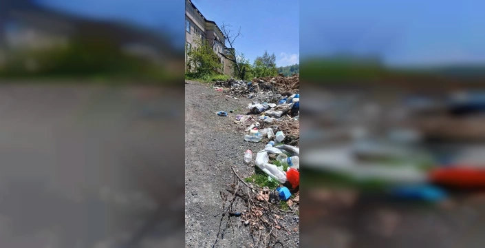 Alaplı'da çevre kirliliği: Yol kenarına atılan çöpler halk sağlığını tehdit ediyor