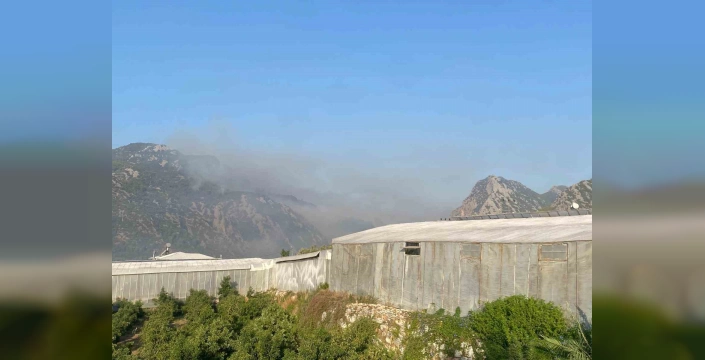 Anamur'da orman yangını sürüyor