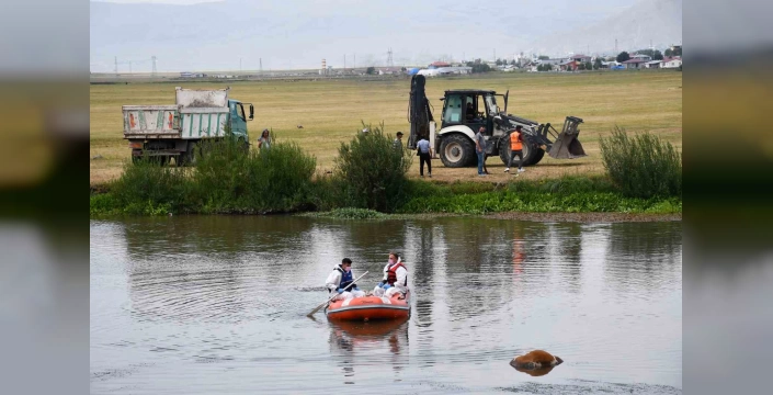 Ardahan'da Kura nehrinde inek telef oldu