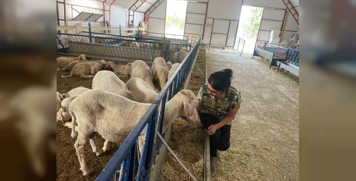 Aybike Öz: Koyun sütüyle girişimciliğe örnek oldu