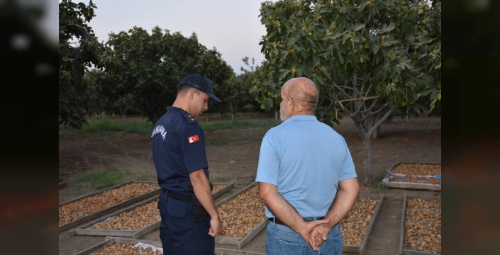 Aydın'da hasat hırsızlığına karşı alarm