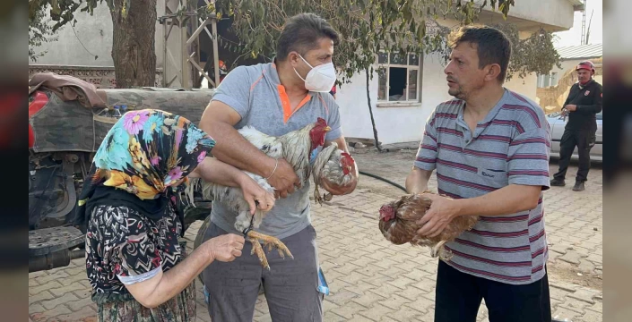 Bayramiç'te orman yangını: Saçaklı köyünde büyük maddi hasar