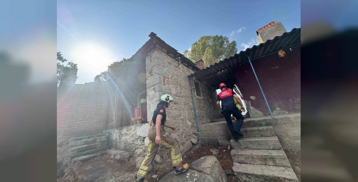 Bergama'da orman yangını: 3 ev zarar gördü