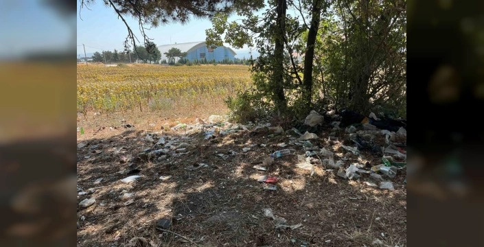Bilecik'te alkol alanlar ormanı çöplüğe çevirdi