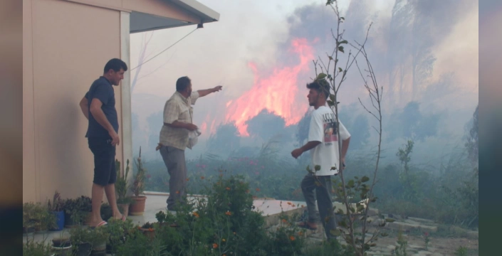 Burhaniye'de sazlık yangını: 995 haneli tatil sitesi tehlike atlattı