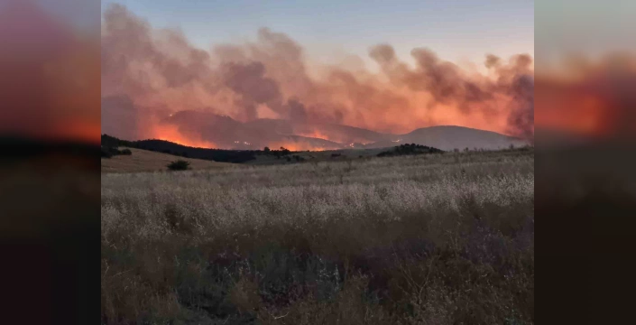 Diyarbakır'da yangın sürüyor: Lice, Kocaköy ve Hani ilçelerini etkiledi