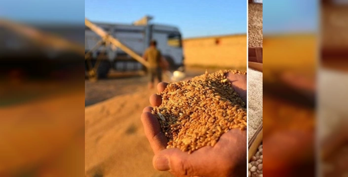 Gıda sektörü ihracatı 7,1 milyar dolara ulaştı