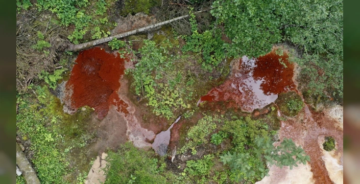 Giresun'daki Kuzalan Tabiat Parkı: Kızıl su ve travertenlerle büyüleyici bir doğa harikası