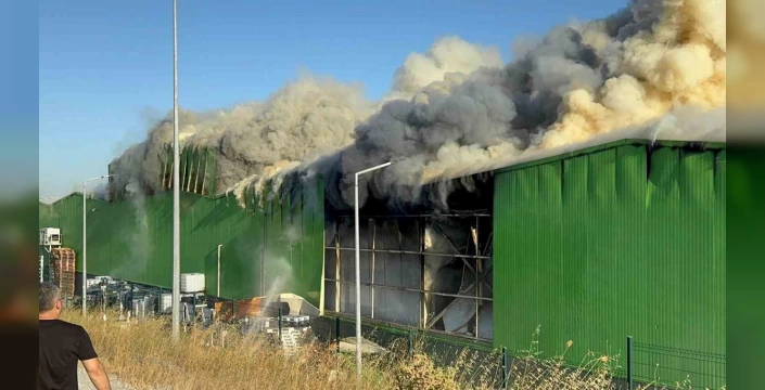 Gönen'deki fabrika yangını: 8 gözaltı, 1 tutuklama