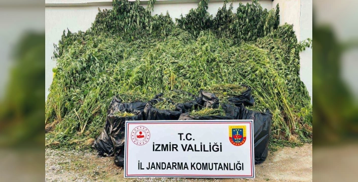 İzmir'de büyük uyuşturucu operasyonu: 114 kilo esrar, 60 binden fazla hap ele geçirildi