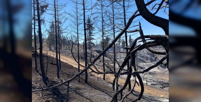 Karaman'da orman yangını kontrol altına alındı