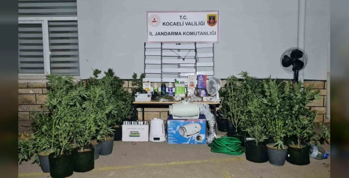 Kocaeli'nde büyük uyuşturucu operasyonu: 3 kilo 960 gram uyuşturucu ve 197 kök kenevir ele geçirildi