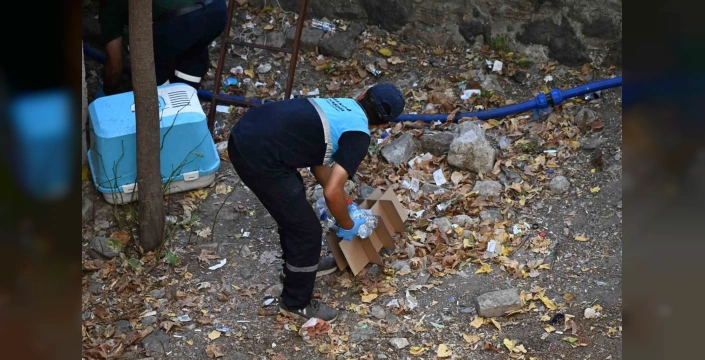 Manisa'da Çaybaşı Deresi temizlendi