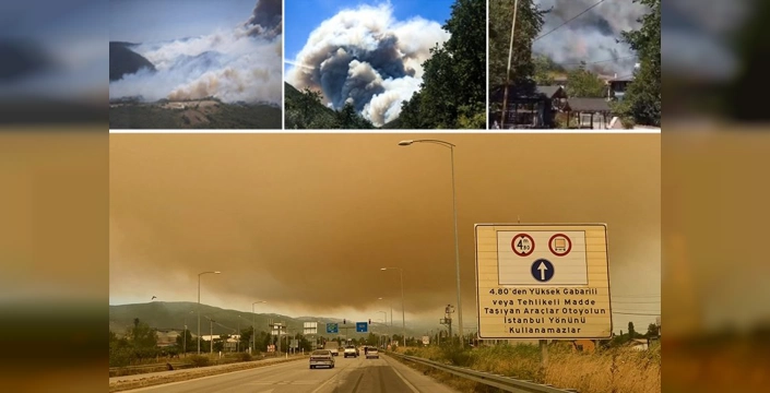 Orman Yangınları: Kocaeli, Bursa, Karaman ve Osmaniye'de alevlerle mücadele sürüyor