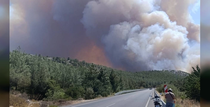 Orman yangınları sürüyor: Mersin, Çanakkale ve Kahramanmaraş'ta alevler büyüyor