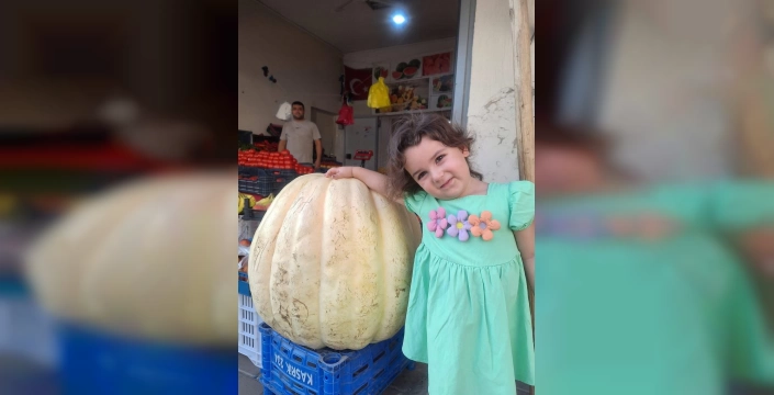 Sarıgöl'de devasa bal kabağı: 85 kilogram ağırlığında