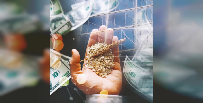 Tohum savaşları: Küresel güç mücadelesinin yeni cephesi