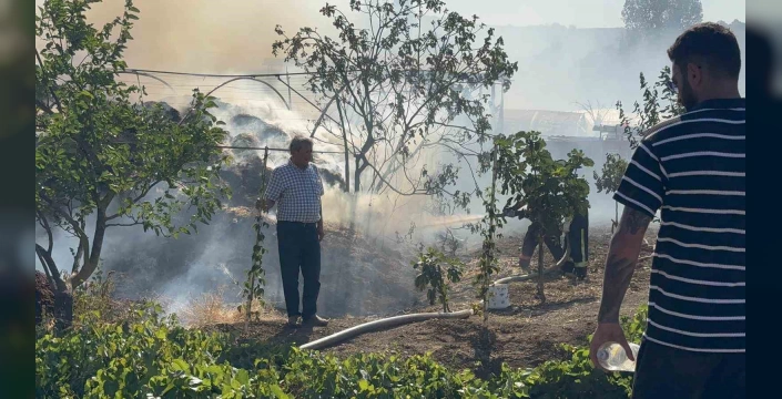 Yalova'da yangınlar kontrol altına alındı