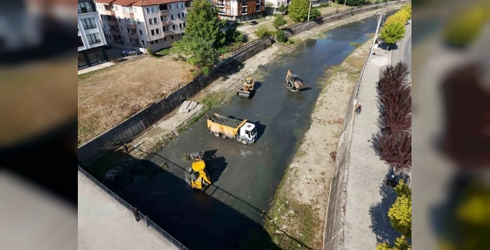 Düzce Belediyesi, Asar Deresi'ni temizliyor