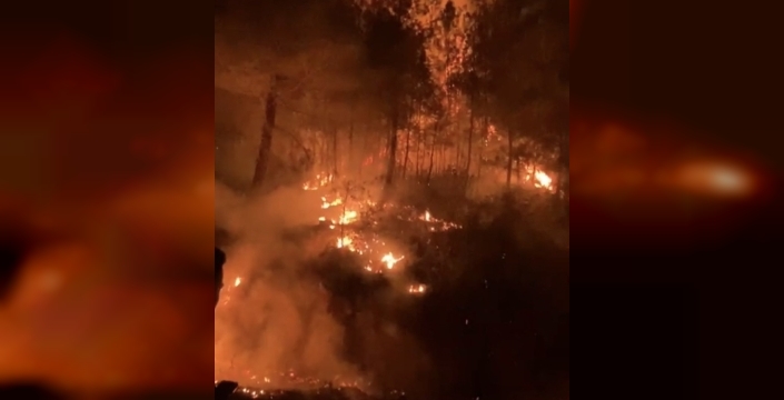 Gazipaşa'da orman yangını: Mahalle sakinleri tehlike anını yaşadı