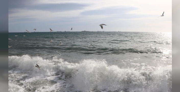 Marmara kıyıları iklim değişikliğine karşı savunmasız: Yüzde 72'si risk altında