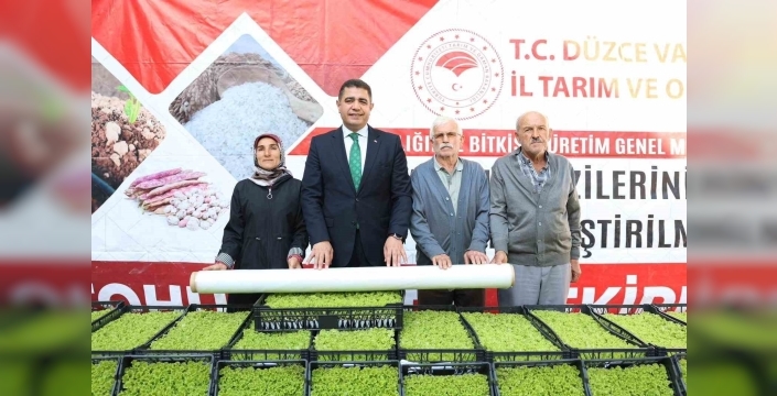 Düzce'de marul üreticilerine dev fidelerle destek sağlandı