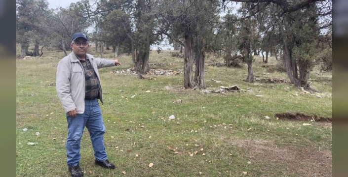 Asırlardır kesilmeyen sır: Tokat'ta şehit kanından filizlendiğine inanılan orman!