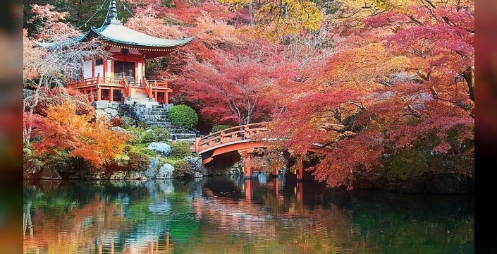 Japonya avrupalı seyahatseverlere ücretsiz iç hat uçuşları sunuyor