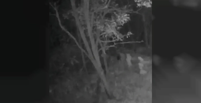 Kırklareli'nde dramatik kaçış girişimi: FETÖ şüphelileri sınırda yakalandı