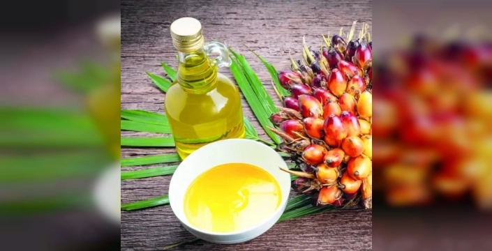 Malezya, Türkiye ile palm yağı ticaretini artırmayı hedefliyor