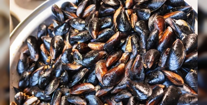 Ölümcül tehdit: Her yıl 420 bin kişiyi vuran gıda zehirlenmeleri ve kurtarıcı adımlar