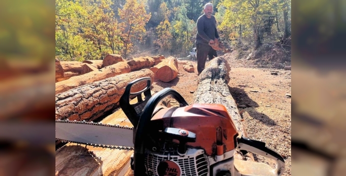 Toroslar'ın sarp yamaçlarında 35 yıllık aşk ve emek destanı: Güneş ailesinin orman tutkusu