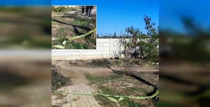 Adana'da yol kenarında bir kadın ölü bulundu